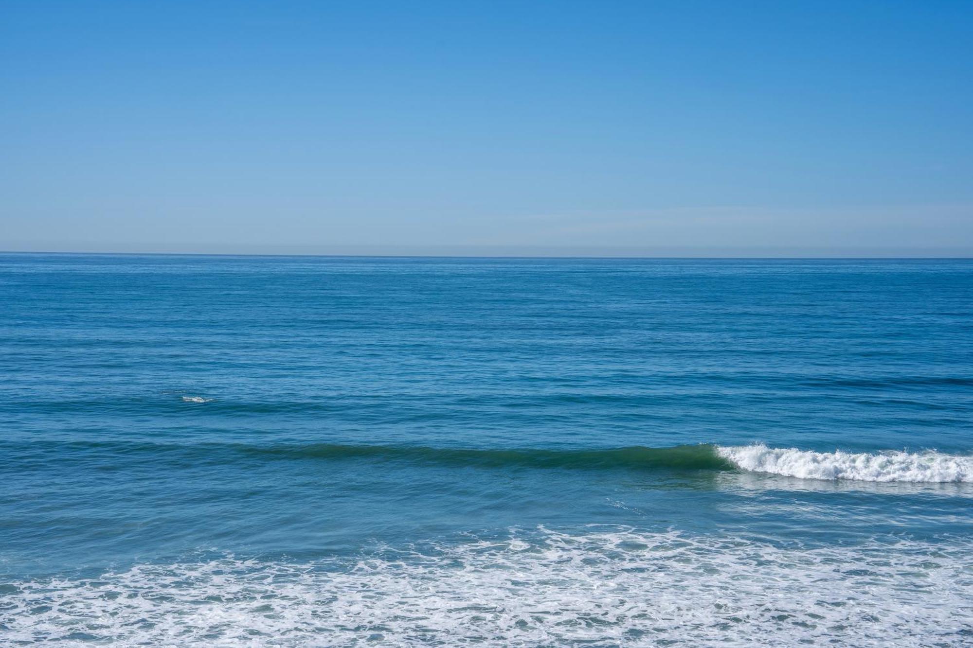 Beachfront Breathtaking 1 Bedroom Apt Tijuana Exteriér fotografie